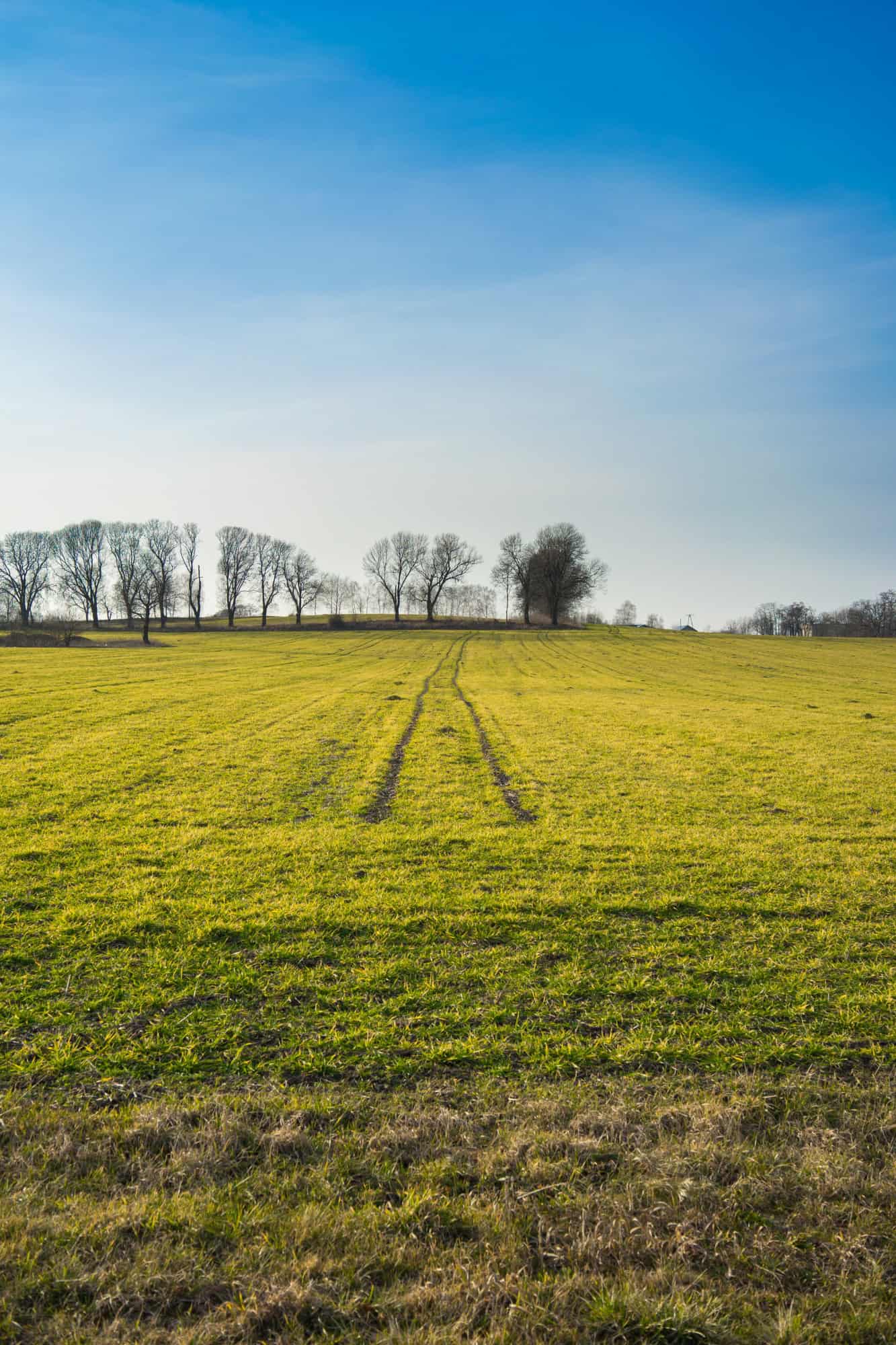Surveyor verifying a plot of land on site