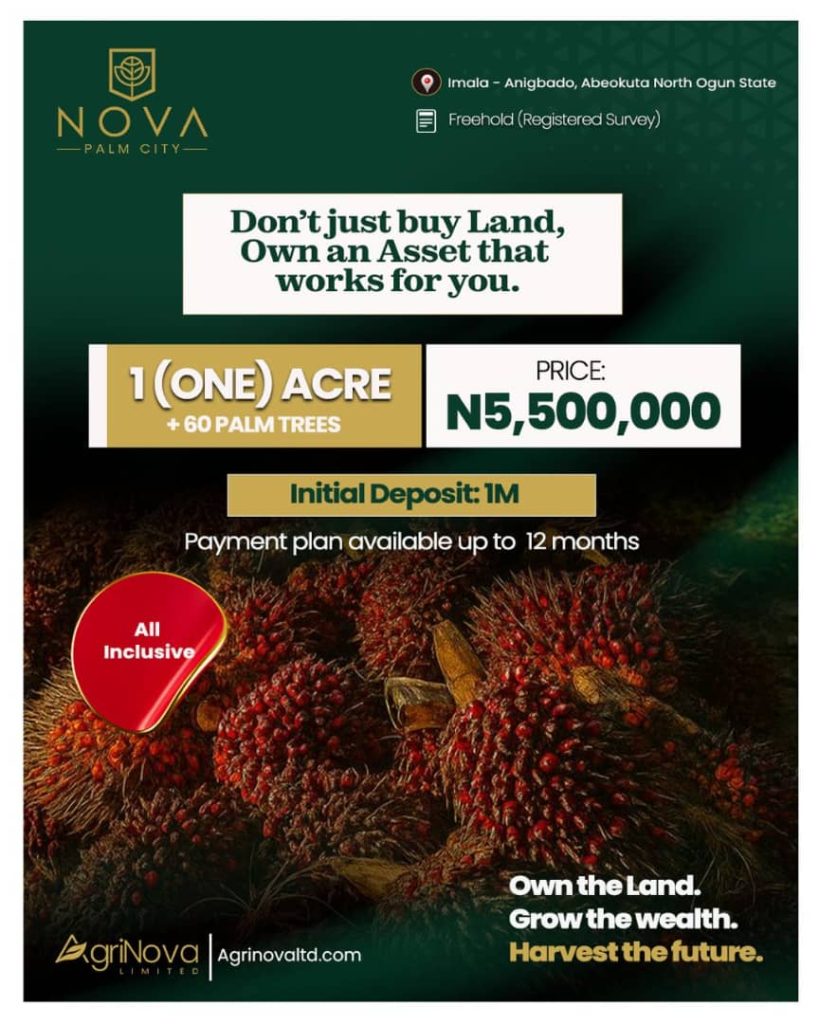 Nova Palm City — main photo