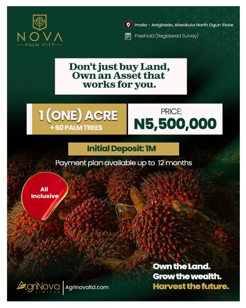 Nova Palm City — main photo